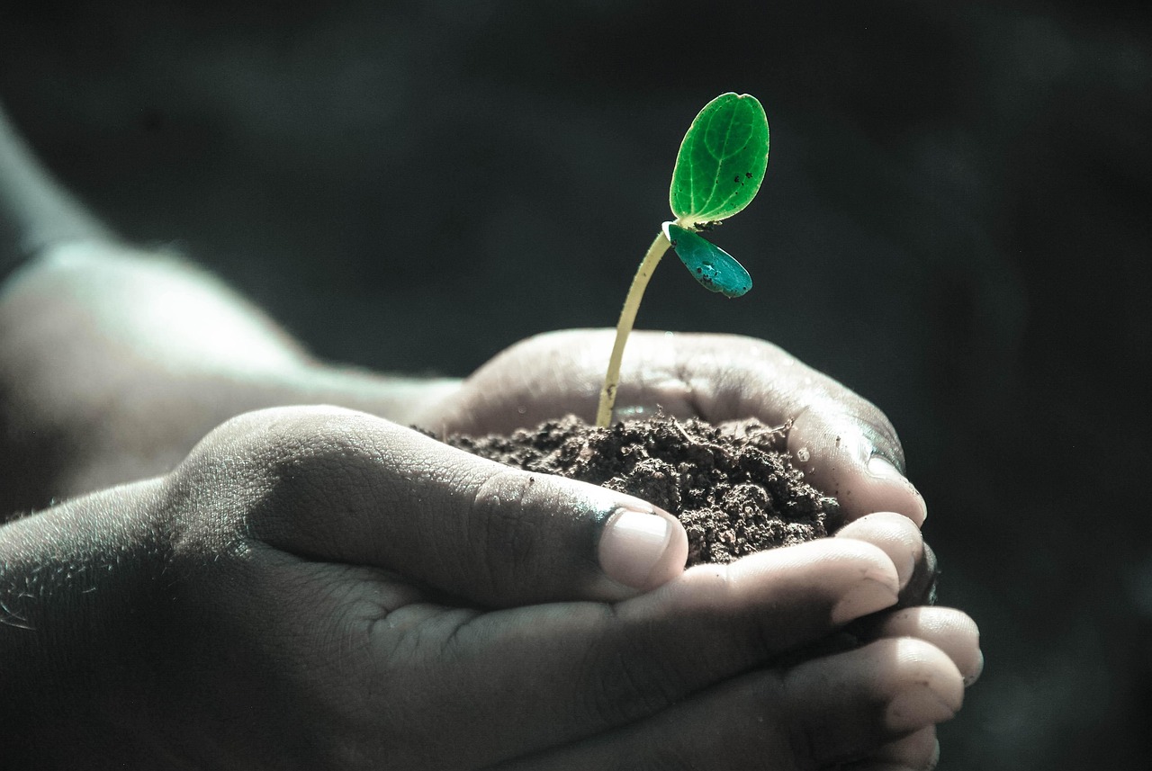 Develop a Growth Mindset to Unlock Your Full Potential