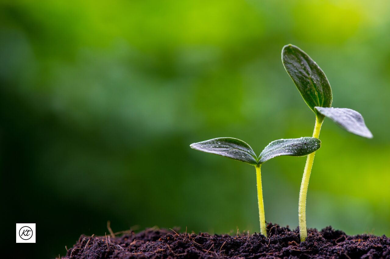 Develop a Growth Mindset to Unlock Your Full Potential